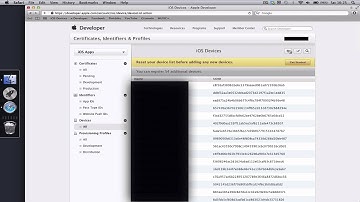 What we do - Activate iOS7 UDID - QUICK + EASY