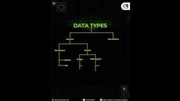 Primitive vs Non-Primitive Data Types: Know the Difference
