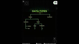 Primitive vs Non-Primitive Data Types: Know the Difference