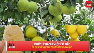 Tiếp thị và Gia đình