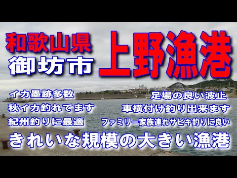 #102和歌山県上野漁港きれいな規模の大きい漁港イカ墨跡多数常連釣り人ヤエンでアオリイカ釣り何度も来たい良い漁港足場の良い波止秋イカ釣れてます紀州釣りに最適家族連れサビキ釣りに良い車横付け釣り出来ます