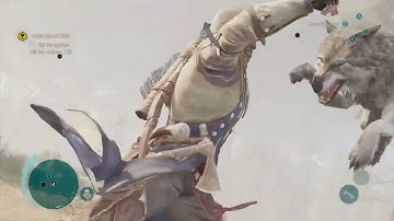 Detonation with Wolves | Assassin