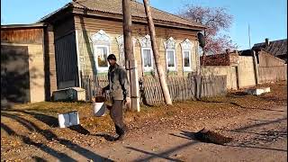 картинка: Земля моя милая. с.Холмушино