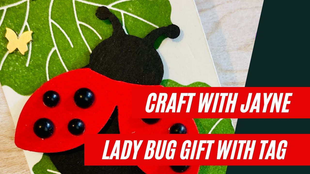 Cute Gift with Tags | Hello Lady Bug | Craft with Jayne | Stampin Up !