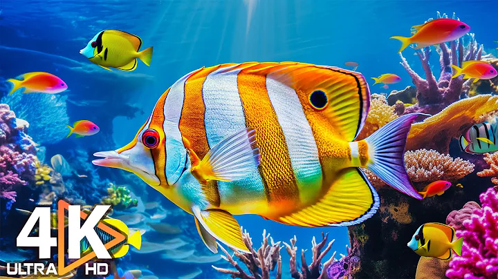 The Best 4K Aquarium 🐠 Colorful Coral Reef Fish & Jellyfish - Relaxing Music for Sleep #2