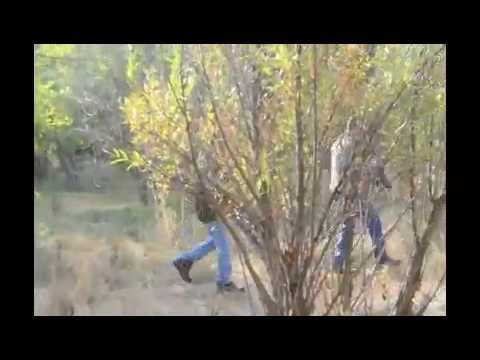Amazing footage wild boar hunt