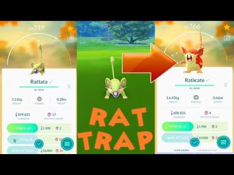 Can Rattata be shiny in Pokemon GO?