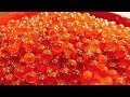 大粒の筋子でいくらの醤油漬けを作ったらビックリするほど旨かった!! Salmon Roe Pickled in Soy Sauce 酱油腌三文鱼鱼籽