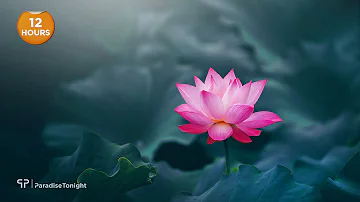 [12 Hours] Buddha's Flute: Zen Mind