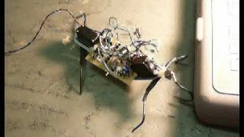 2 servo walker photo (Vintage Video)