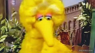 Episode 3824 Ending But Big Bird Has Alans Voice