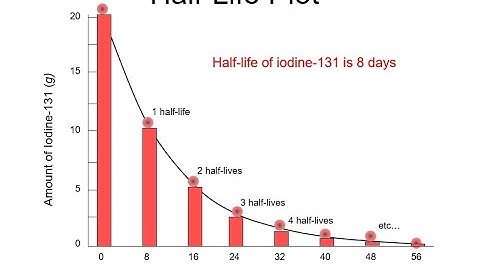 Half Life Calculations