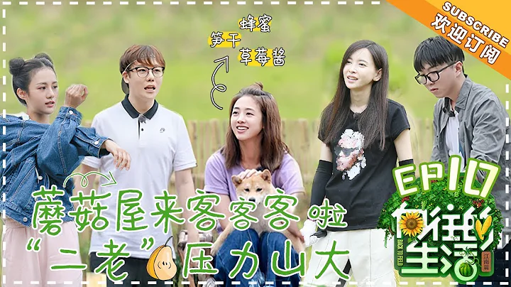 ENG SUB210 Back to field S2 EP10TV