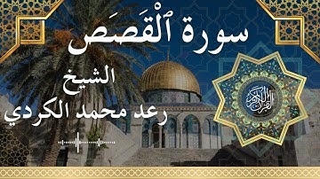 28 Surat Al Qasas  Al Sheikh Raad Mohammad Al Kurdi الشيخ رعد محمد الكردي   سورة القصص كاملة