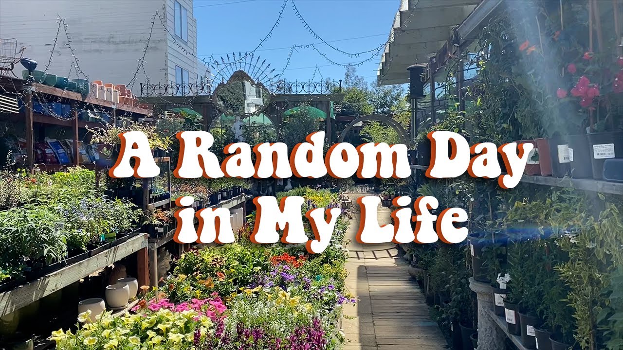 A Random Day in My life - YouTube