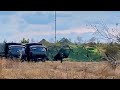 Видео лагеря российских войск возле украинской границы. Масловка, а может просто учения?