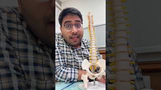 “Har back pain = slip disc?” #spine #slipdisc #discbulge #backpain #sciatica #lowbackpain #surgery