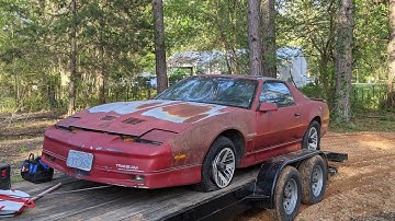 Will It Run? 1985 Trans Am That
