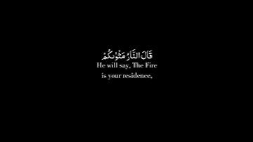 أجمل حالات واتس اب قرآن كريم بصوت جميل جداً Quran status || بصوت القارئ ادريس ابكر ارح قلبك