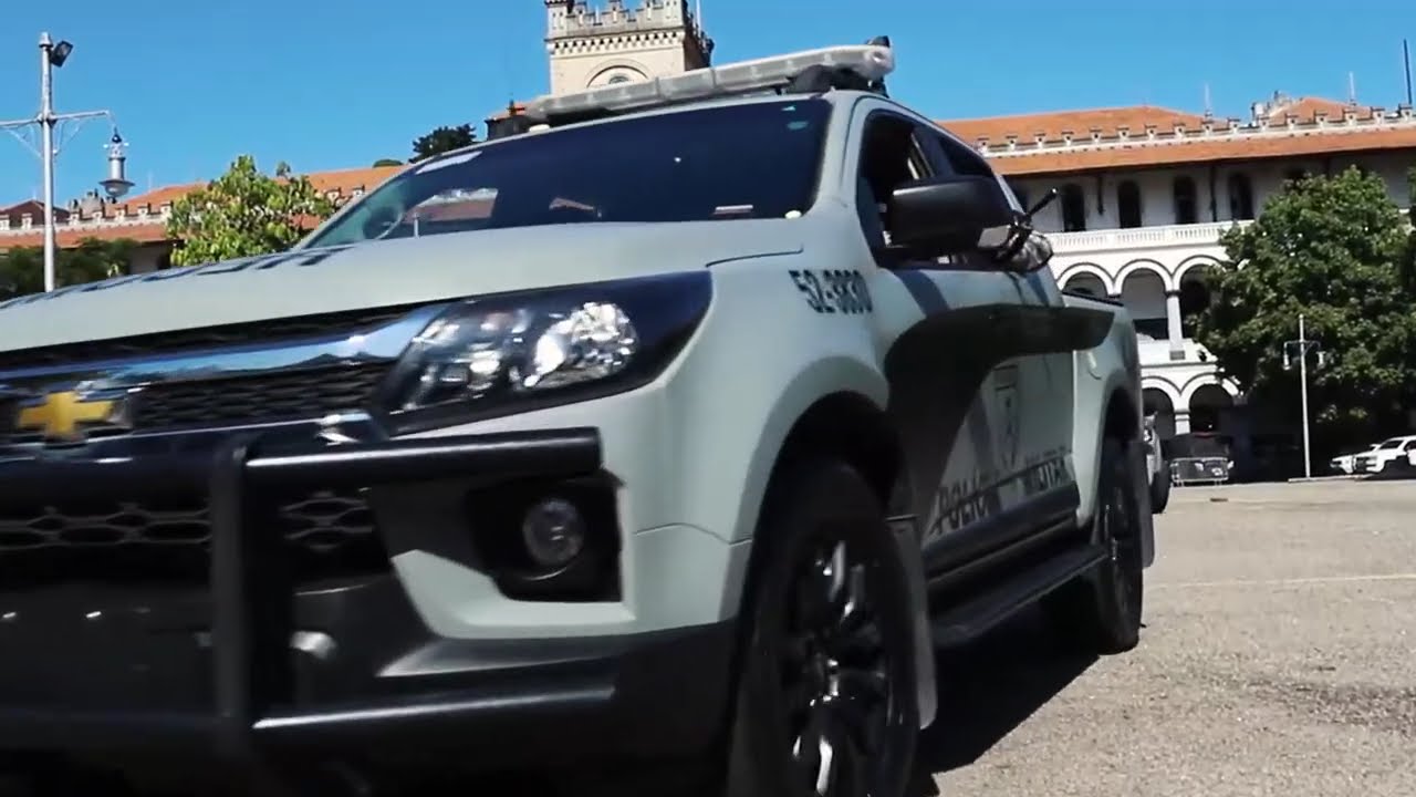 Você já viu nossos Carcarás?