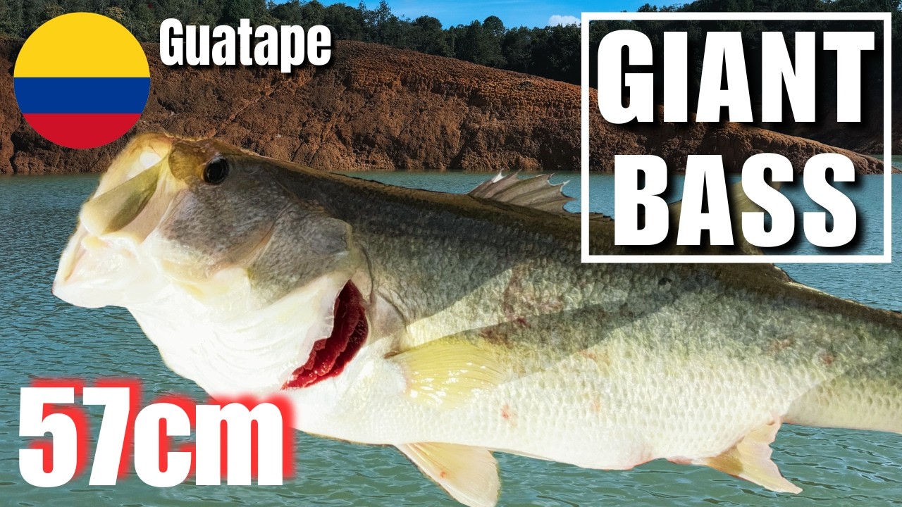 🇨🇴Black Bass in Colombia?! | Day 1 – Boat Fishing in Guatape🏞️