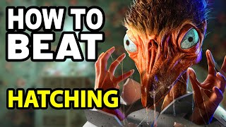 How to Beat the ANGRY BIRD in HATCHING