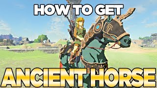 How to Get the Ancient Horse Armor in Breath of the Wild, The Champions Ballad | Austin John Plays