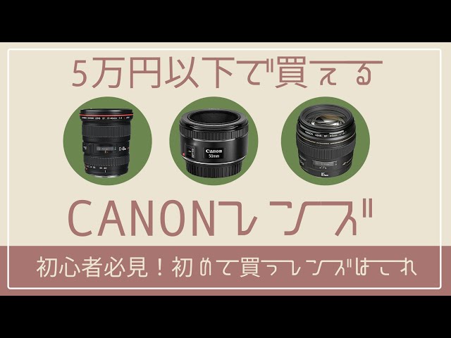 初心者必見！CANONのオススメレンズ3選【初めて買うレンズはこれで