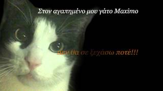 Express Yourself Nneka Feat Ziggy Marley Eeday