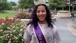 Information Fall 2019 Welcome to LSUE News
