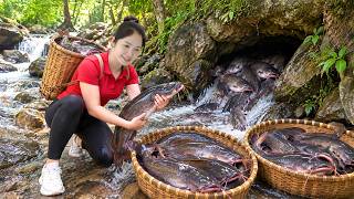 Details Harvesting Tons of Giant Catfish To Sell at Village Market | A Massive Catch Brings Big Profit Update