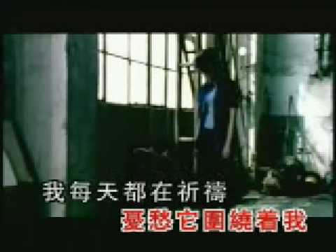 千言萬語_趙薇