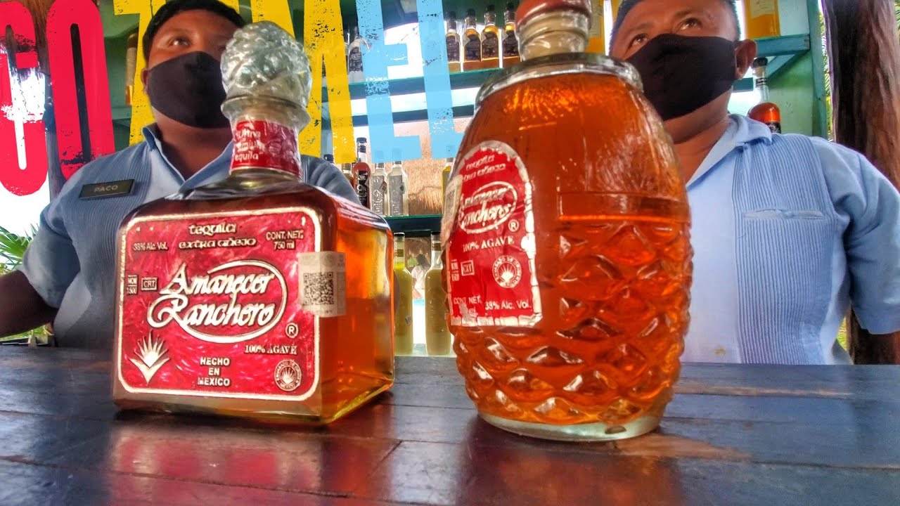 Introducir 75+ imagen tequila tour cozumel Abzlocal.mx