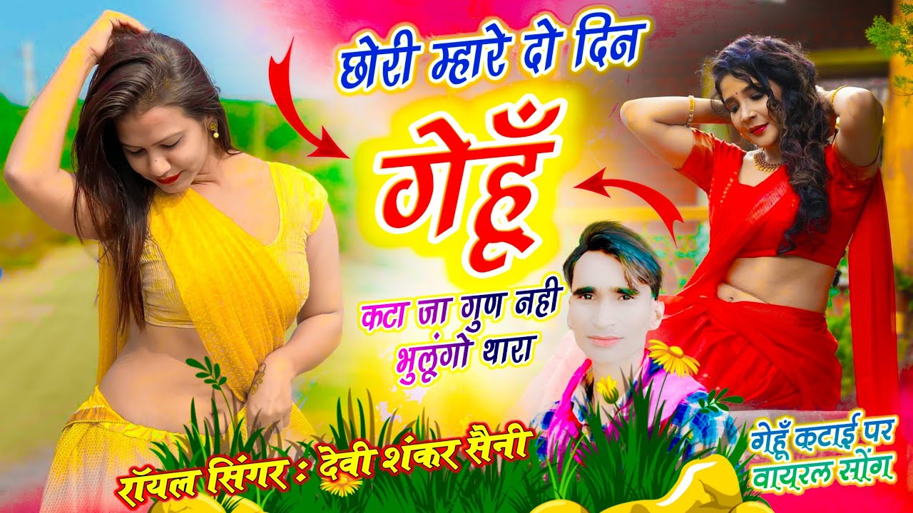 {1562} गेहूं कटाई सोंग // छोरी म्हारे दो दिन गेहूं कटा जा गुण नही भूलूंगो थारा // Devi Shankar Saini
