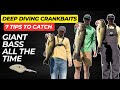 Deep Diving Crankbaits: 7 Tips to Catch Giant Bass All the Time