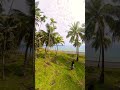 Andaman tour 2025