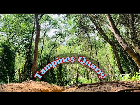 Tampines Quarry // trail and hiking