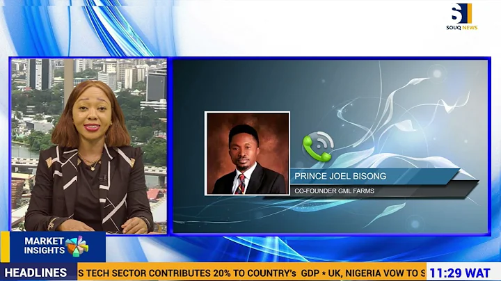 The Impact Of The Insecurity Situation In Nigeria On Agricultural Production And Food Supply Chain