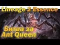 Сражение за Ant Queen в L2 Essence руоф и массовые битвы!  За что я люблю Lineage ❤️