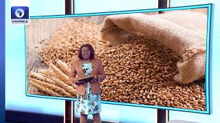 S/Africa Defence Spending, Egypt's Grain Hub + More | Business Incorporated