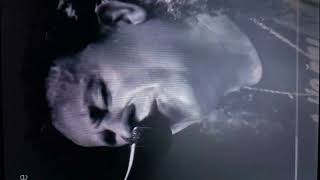 Download Lagu LEIZE 40 ANIVERSARIO 2023 MP3