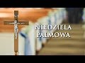 Msza Święta z abp. Grzegorzem Rysiem - Niedziela Palmowa 2020
