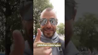 Did I crash the NFT market?