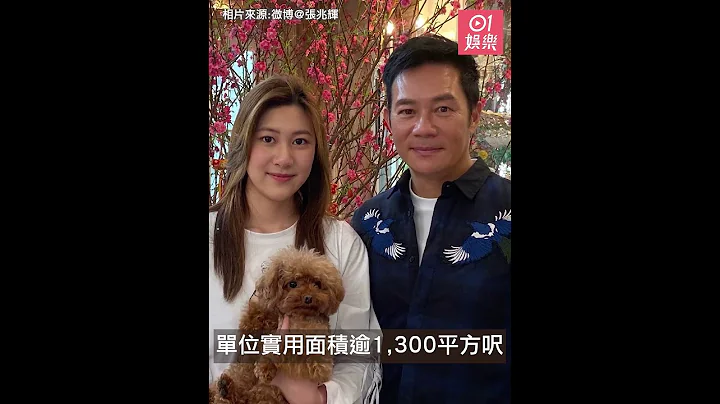 张兆辉晒贝沙湾千呎海景豪宅　物业布遍全球成圈中隐形亿万富豪 - 天天要闻