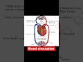 Blood circulation # Heart#biology #ncert #lifeprocess #cbse #class10boardexam #25 feb