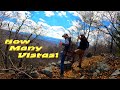 Hunting Purple Lizards from the Best Campsite in Rothrock State Forest
