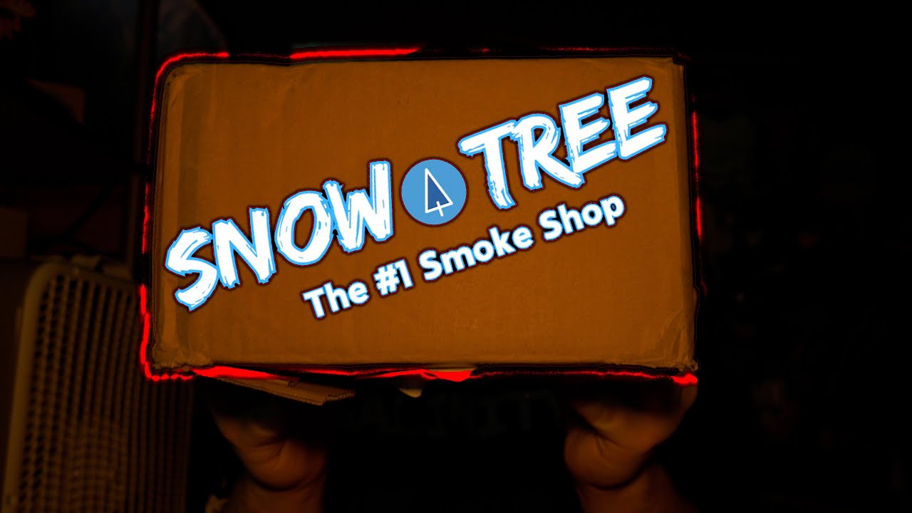 You Won't Believe What's Inside This Snow Tree MYSTERY BOX!