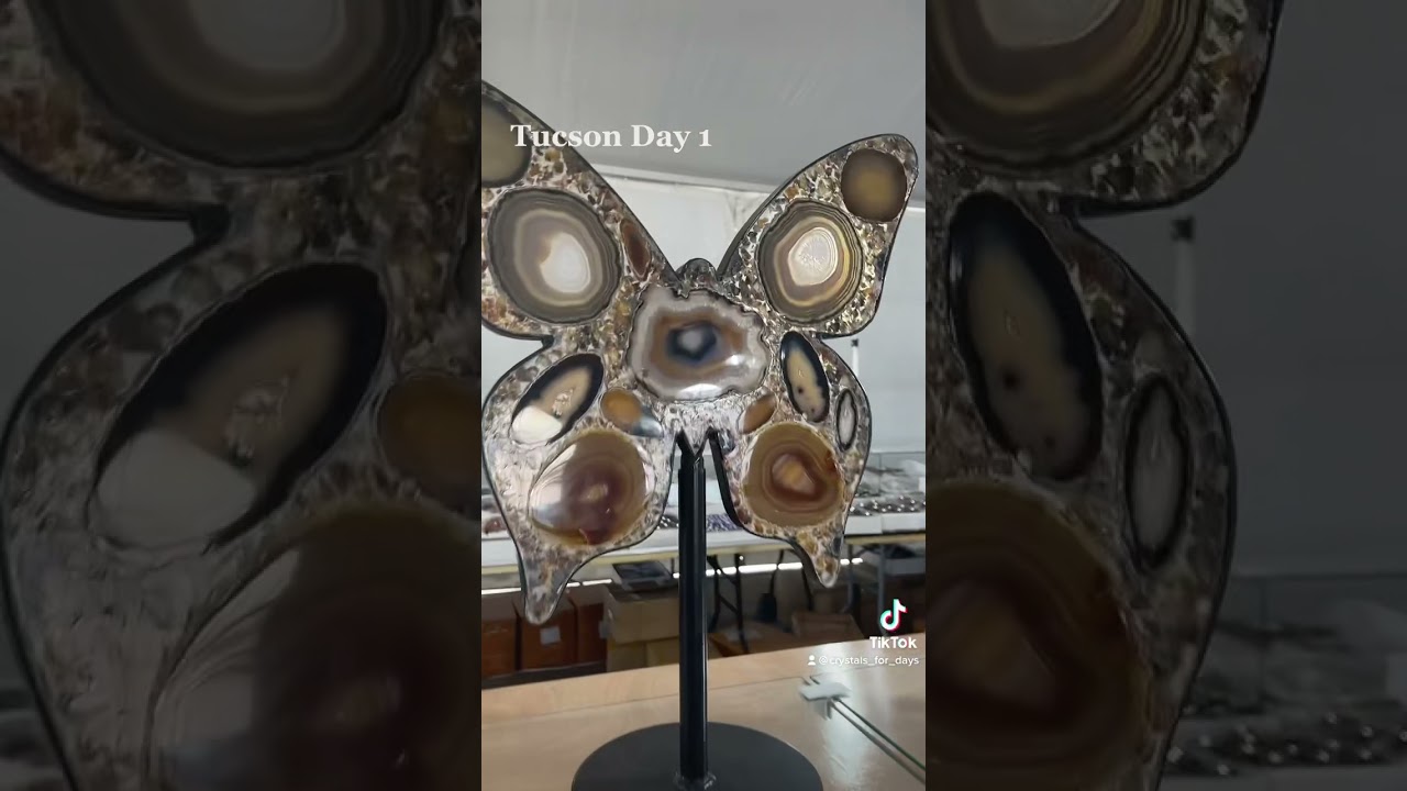 Tucson Gem and Mineral Show Day 1 