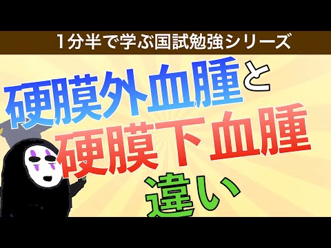 1分半で学ぶ国試勉強シリーズ「硬膜外血腫と硬膜下血腫の違いとは」CTで三日月型になるのはなぜ？