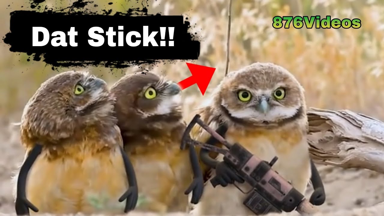 Hood Animals Funny Voiceovers Vol II😂😂 | Superchargedkam ...